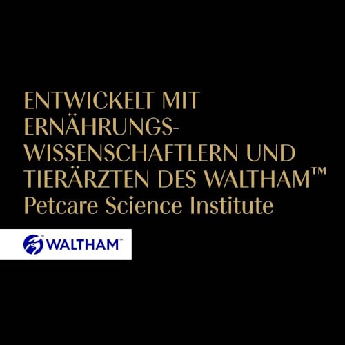 "Feinste Vielfalt für Ihre Katze: 32x HERZHAFTE Nassfutter-Schalen in Sauce"