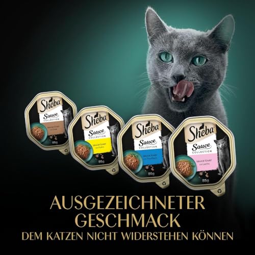 "Feinste Vielfalt für Ihre Katze: 32x HERZHAFTE Nassfutter-Schalen in Sauce"