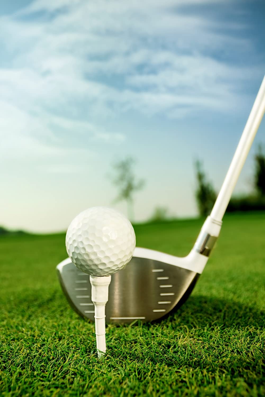 "Präzise Höhenkontrolle: 16x Weiße Golf Tees mit Ringsystem für perfekten Abschlag"