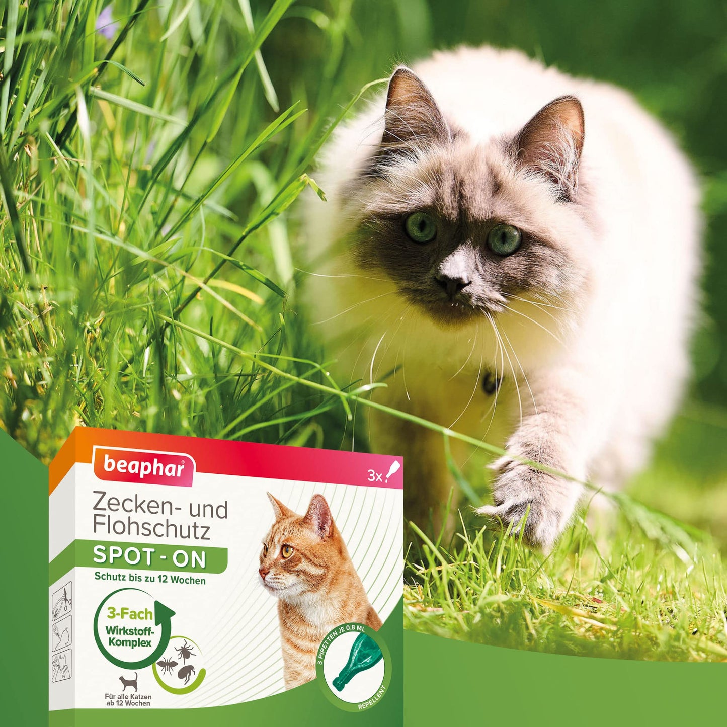 "Schutz für Ihre Katze: 3x Effektiver Zecken- und Flohschutz Spot-On"