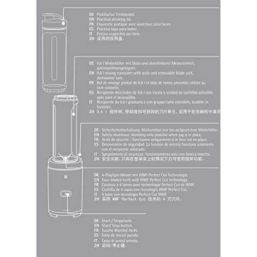 "Mix & Go: 300W Silberner Mini Smoothie Maker mit 600ml Trinkflasche"